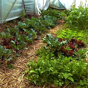 permaculture-farm-stay.madeira-islandshotels.com/